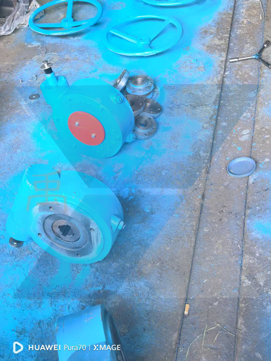 上海麻豆日记下载为徐州环保企业定制QDX3-6单级蜗轮配套通风设备助力绿色工程(图2)