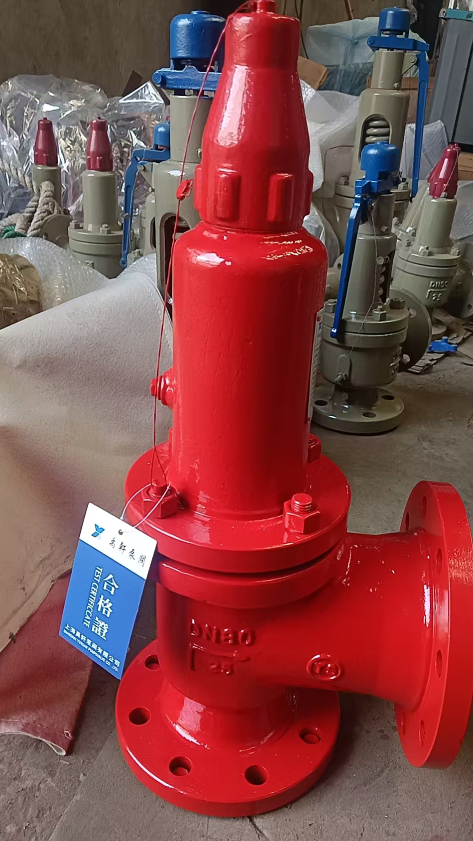 WA42F46-25C DN80波纹管衬氟安全阀(图2)